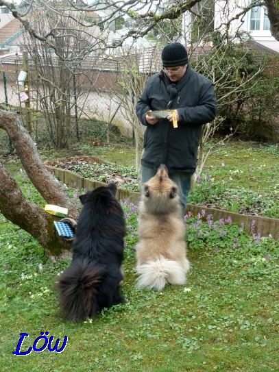 4.4.2021 - Gib uns die Ostergeschenke